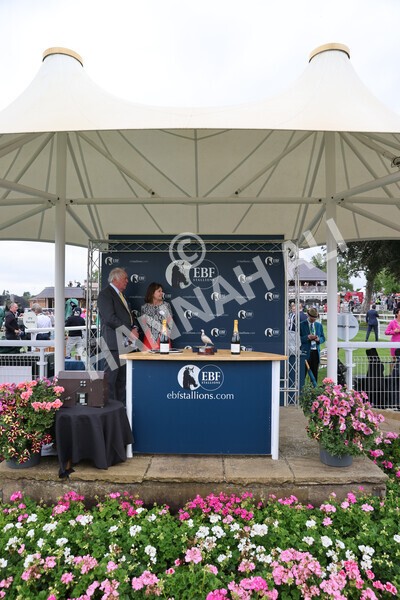 yr18082022r5-52 - Race 5 4.10pm British EBF & Sir Henry Cecil Galtres Stakes