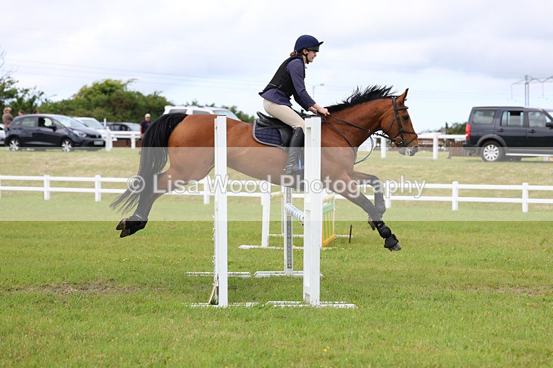 3E7A7798 - Class 13: Senior British Novice/90cm open