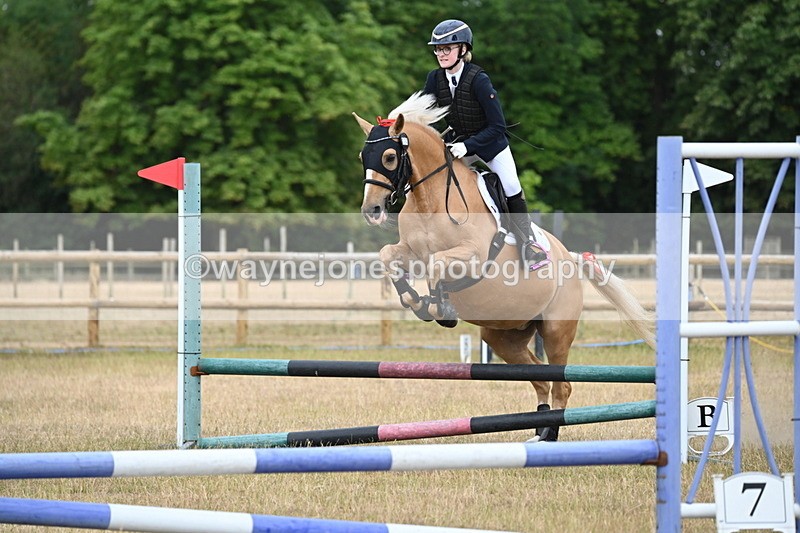 WJ6_9906 - Class 13 Novice Jumping 60cm