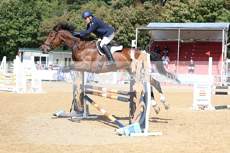 3E7A9390 - Class 9: Senior British Novice/90cm open