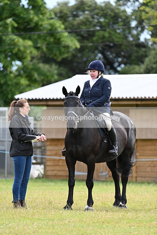 WJ7_8523 - Class 7  Riding Club Show Horse