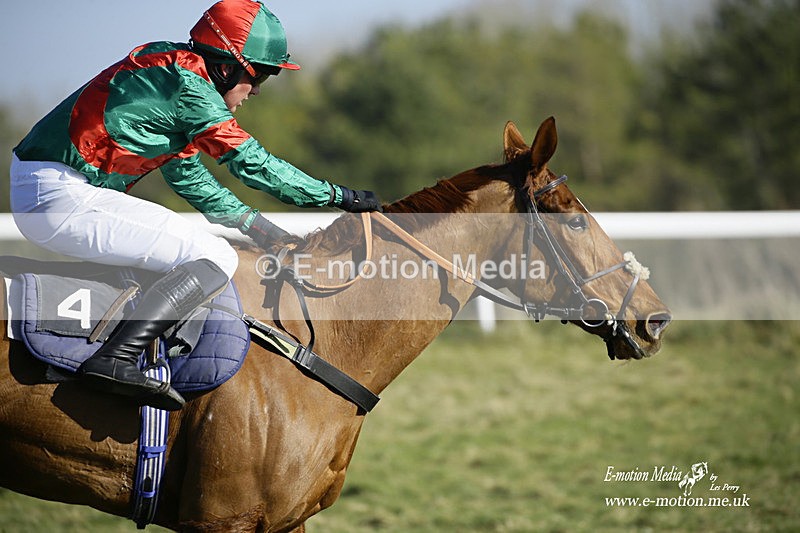 PtP 270222 125 - South & West Wilts Point-to-Point Larkhill 27/02/22