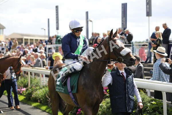 yr19082022r2-20 - Race 2 2.25pm Weatherbys Hamilton Lonsdale Cup (British Champions Series Race)