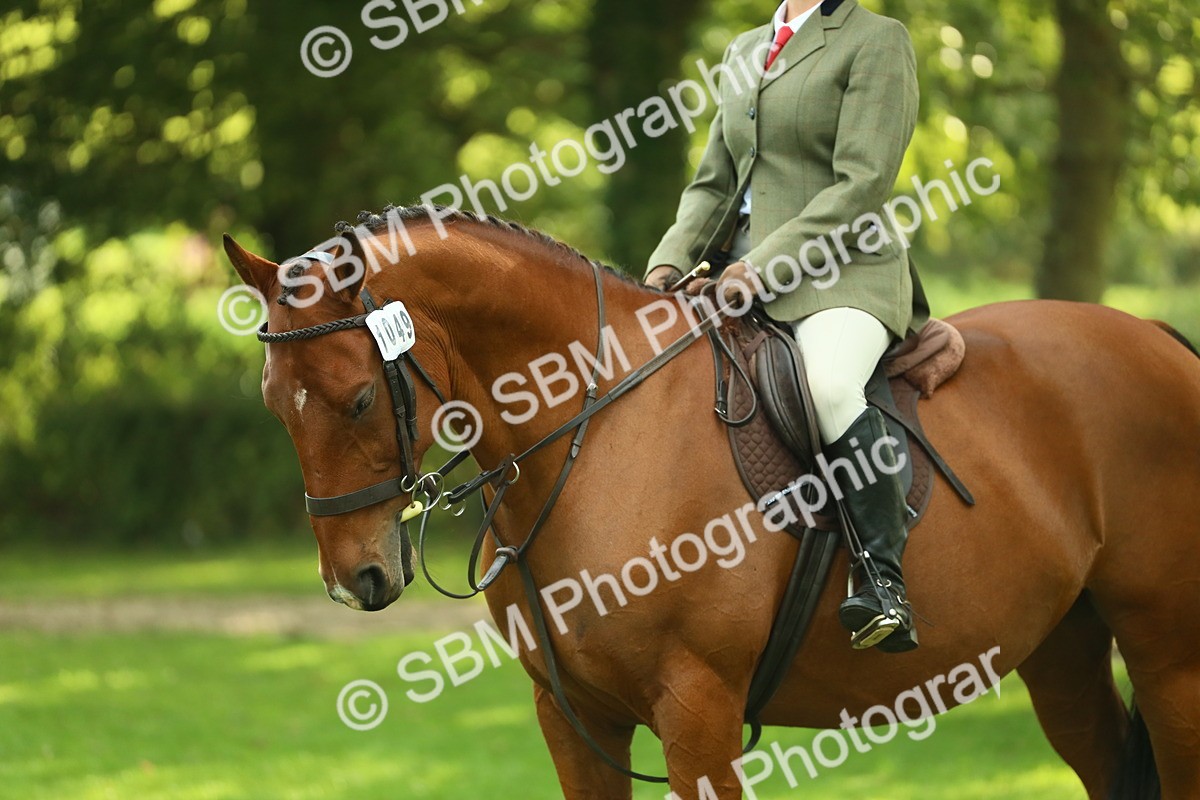 SBM_52166 - S33 - Working Hunter & Working Show Horse