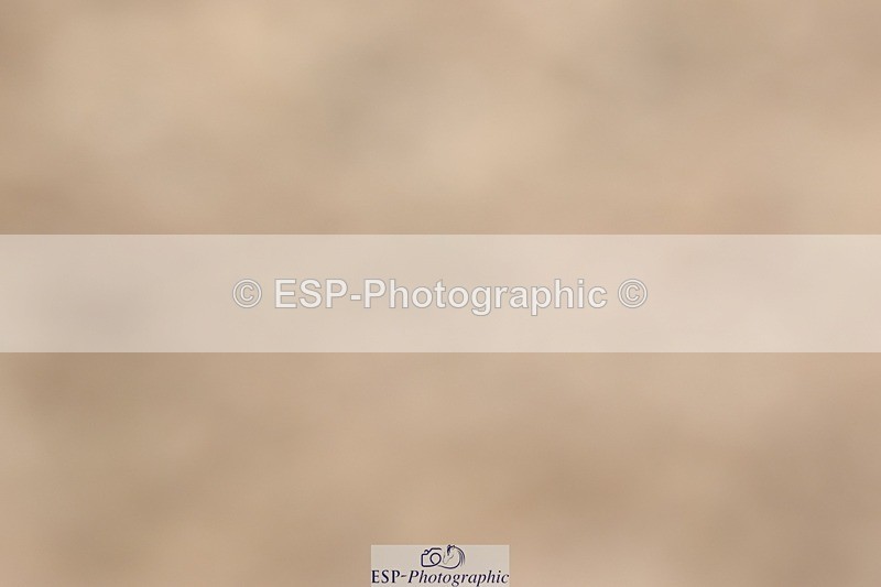 250622-152944-17300 - Cls 53 Medium 5, 14.50 to End