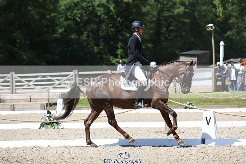 230526-113115-06075 - 153-GAMEBIRD-Max_Warburton-WEDTrotUp+DR