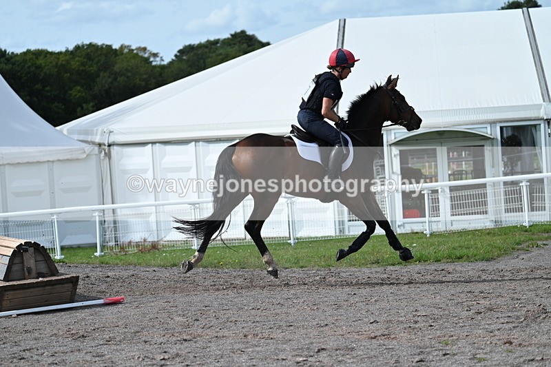 WJ7_2387 - Time 13:55 to 14:05