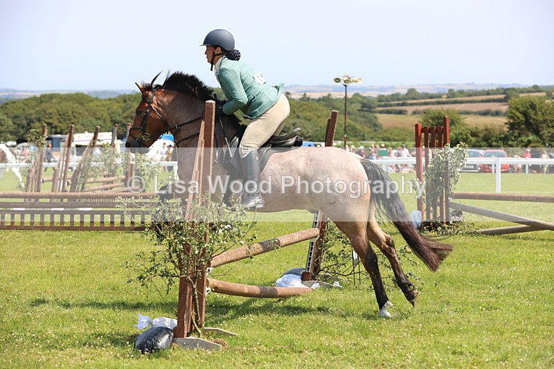 JPP_3145 - Class 22: Working Hunter 70cm