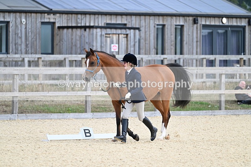 WJ7_1863 - In Hand