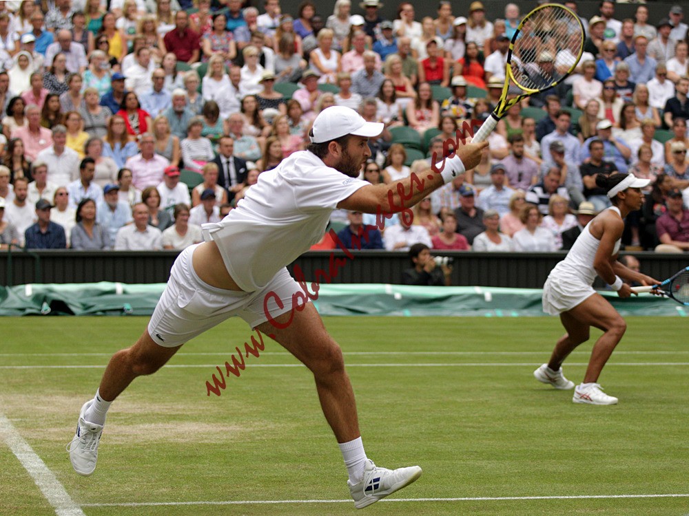 AF0I0138 - Wimbledon