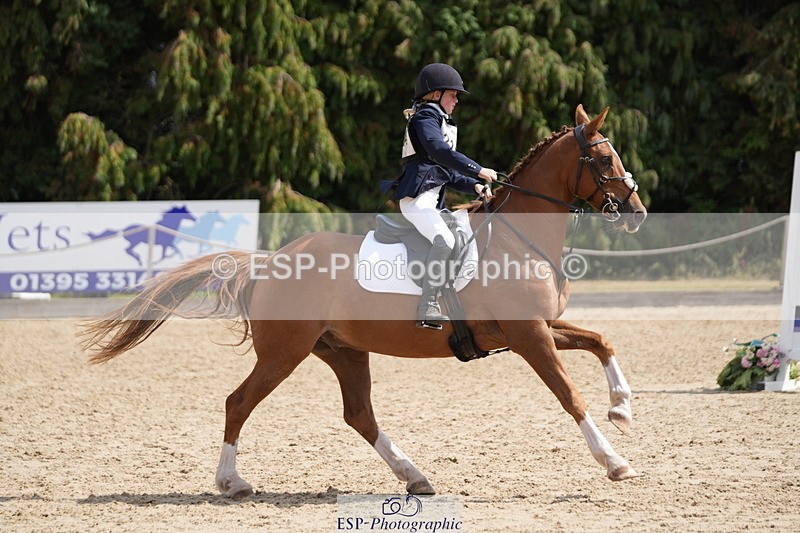 250824A-132256-37459 - 2164-Violet.Guerin-What's.his.name