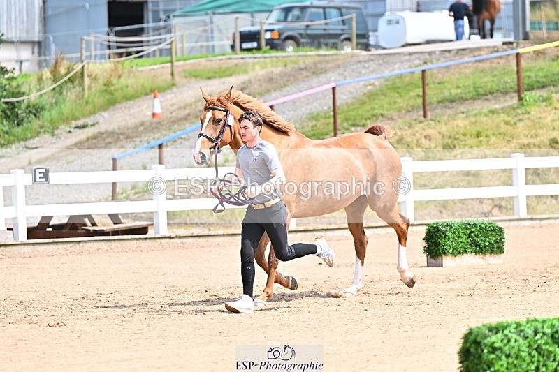 240718A-105248-01173 - Trot Up 12pm to 1pm