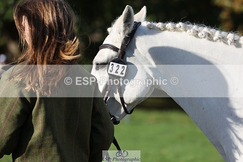 241027-094128-15447 - 322-Hannah.Cook-CLYARD.BOB.D