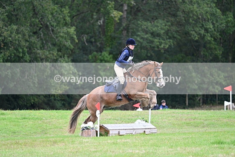 WJ7_7729 - 40cm Time 10:49 to 11:18