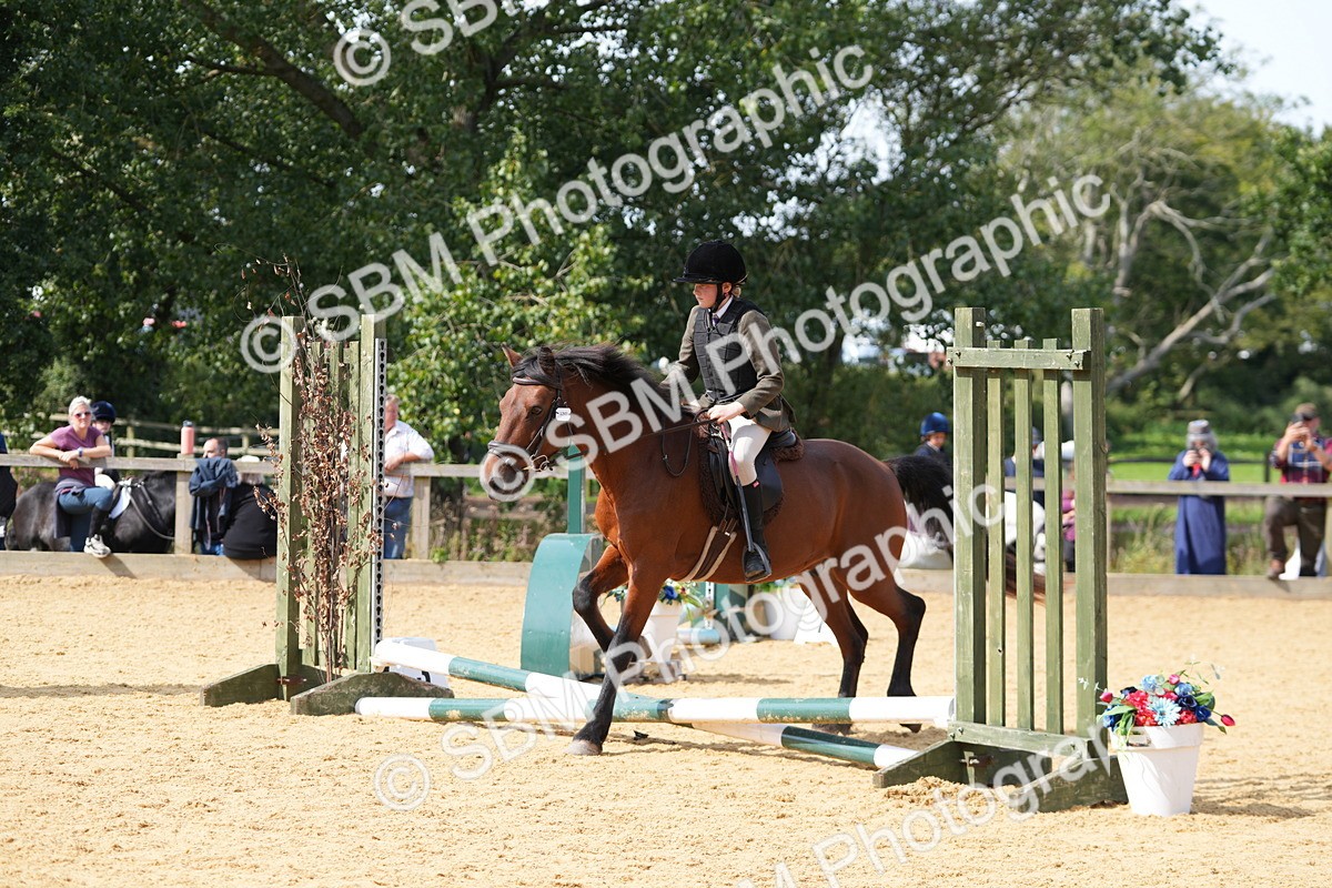 SBM_65816 - J2 - Mini Tour Junior Pony 30cm Championship