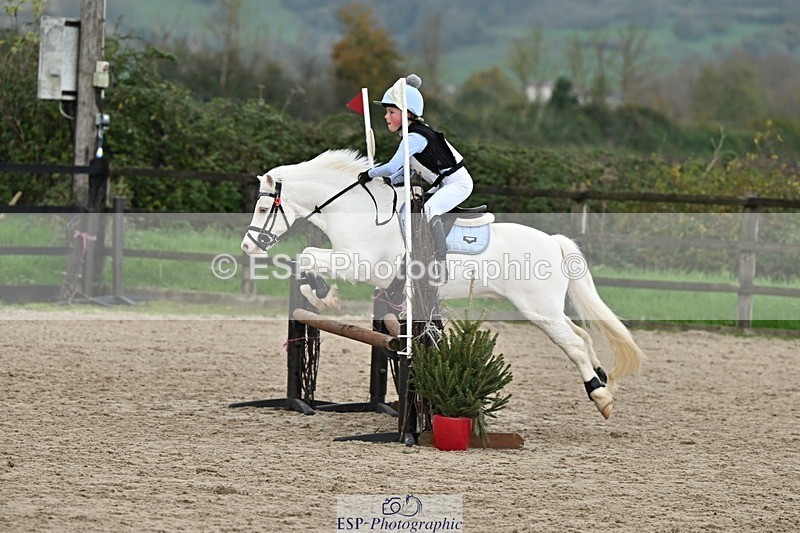 241110-133759-00896 - 60-65cm Arena Eventing