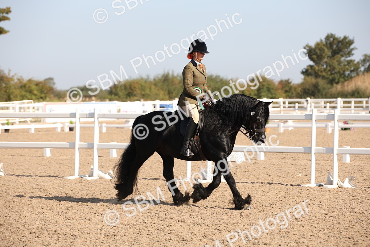 SBM_00788 - Class 14 Ridden M&M Wildcard