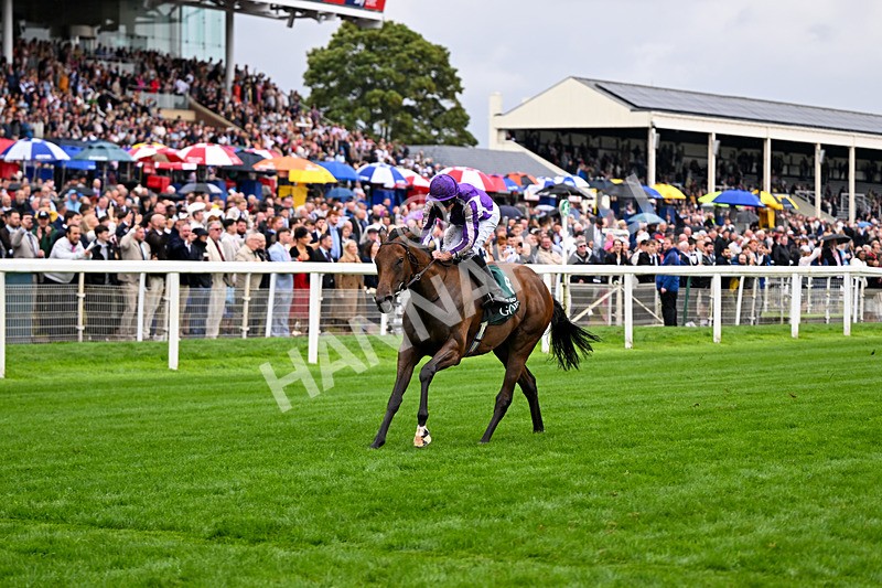 200826-Race 2-Sun Goddess-3176 - Race 2 14.25pm Harry's Half Million By Goffs