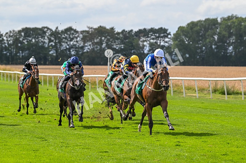 080825-Race 2-Daneh Of Dandy-1981 - Race 2