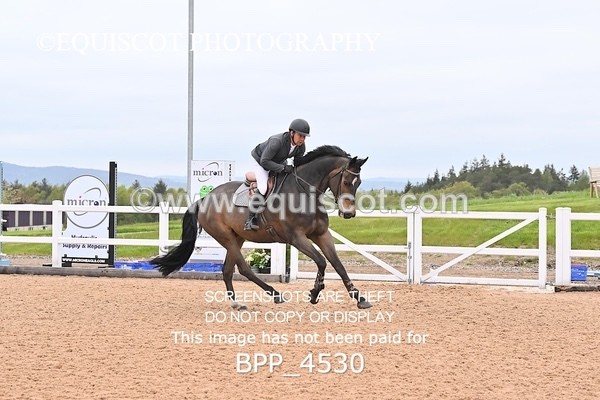 BPP_4530 - CLASS 20 SUN British Novice/90cms Open