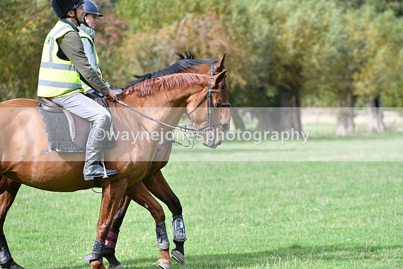 WJ5_9291 - Time 12:34 to 12:57