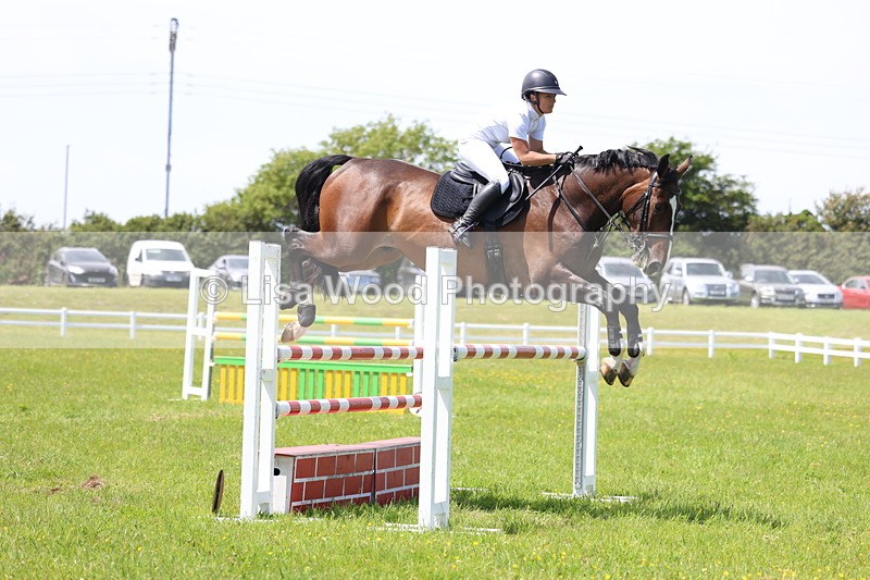 3E7A1303 - Class 12: Senior Foxhunter/1.20 open