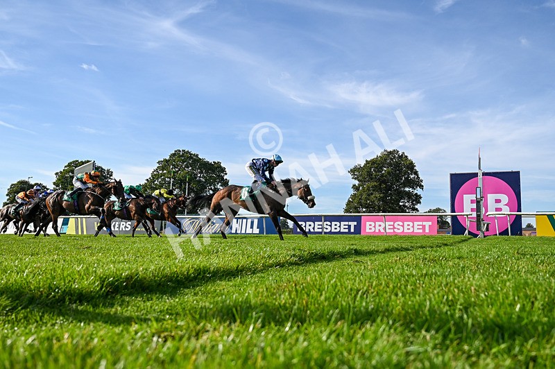 160924-Race 6-Count Palatine-5237 - Race 6