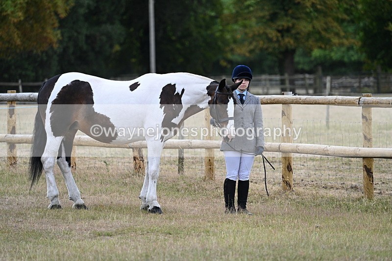 WJ7_8840 - Class 4a Prettiest Mare 14.2hh and over
