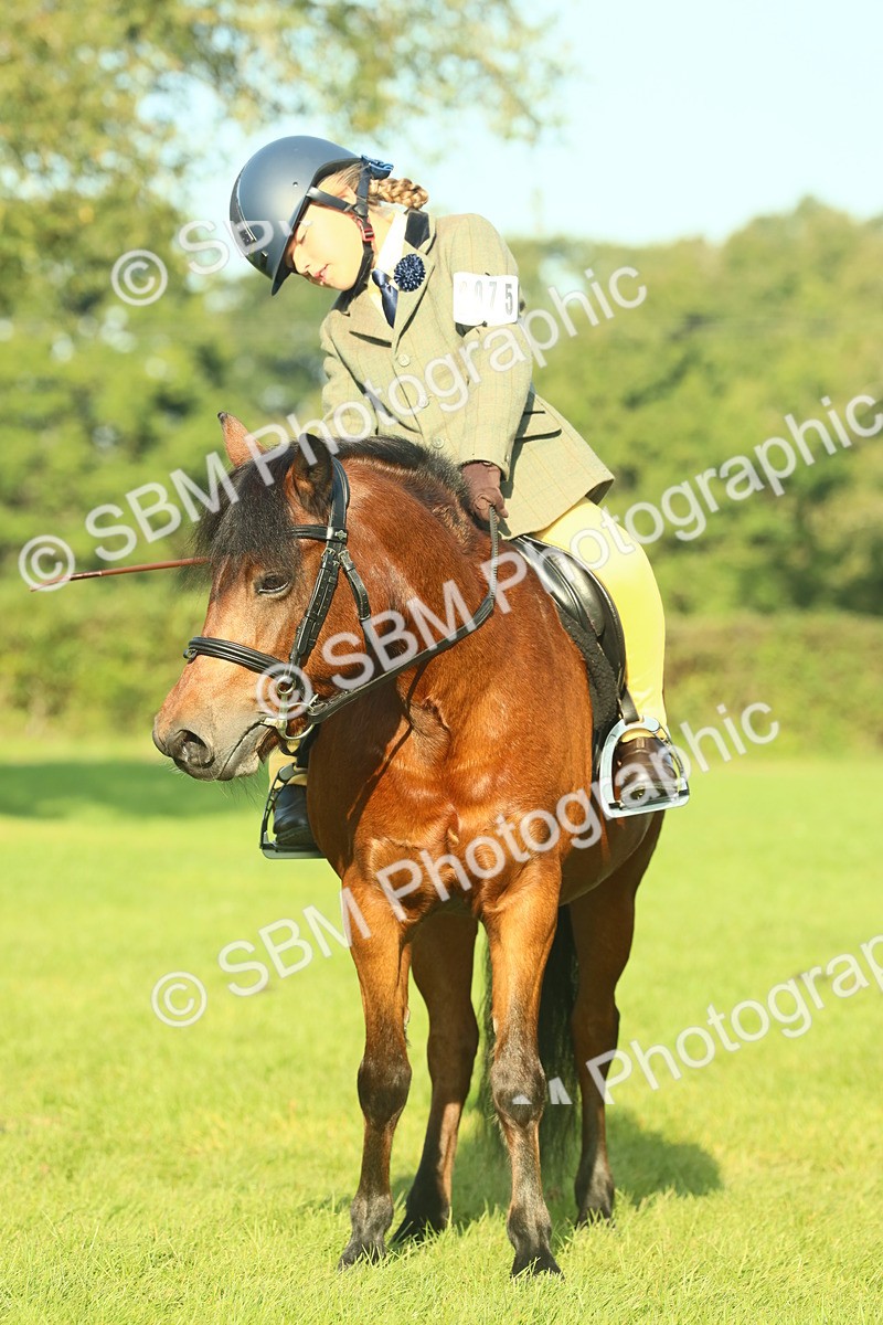 SBM_59145 - S38 - Starters Ridden Showing