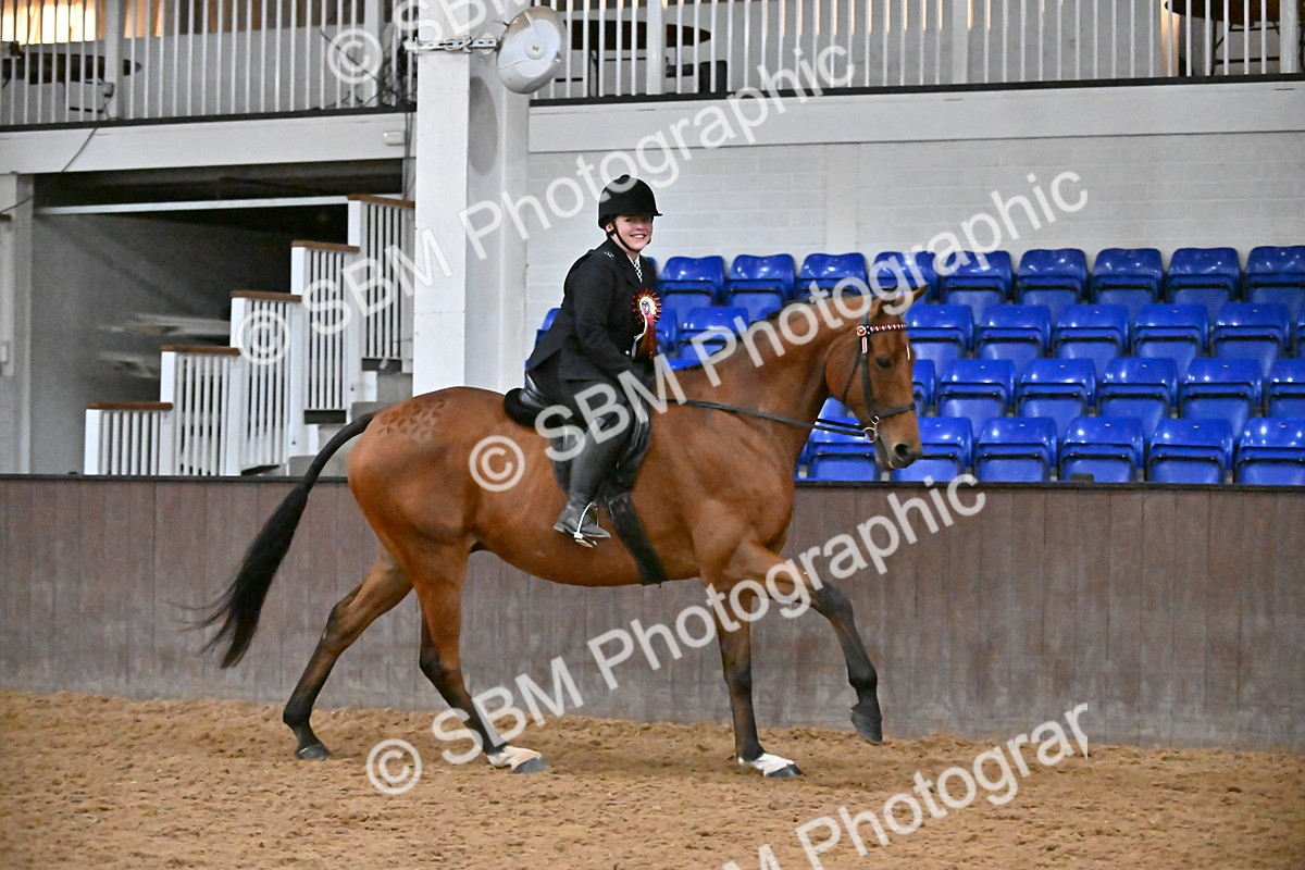 SBM_003075 - Class 37,38 - UKPSAF Performance Horse & Pony