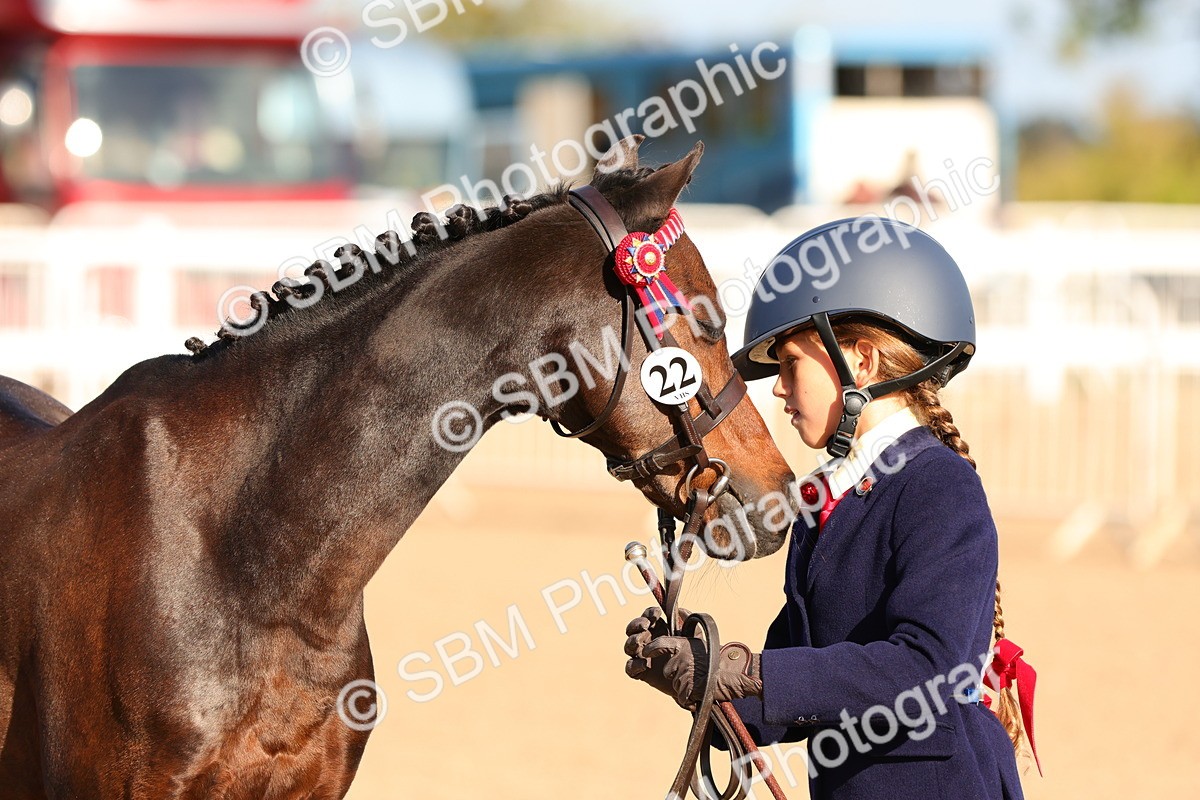 SBM_08648 - Class 203 - Young Handler 10 Years and Under