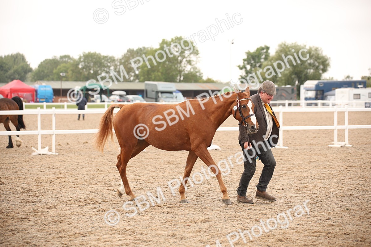 SBM_22189 - Class 707 - Ridden Groom-Helpers Class