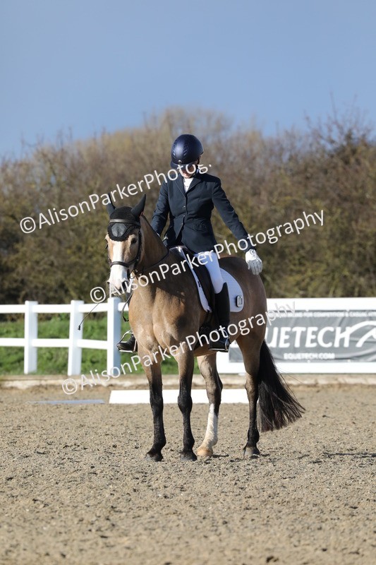 20260314-5860 - DR8 - Elementary 2