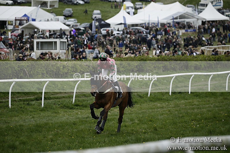 PtP 170417 558 - Old Berks Point-to-Point Lockinge 17/04/17