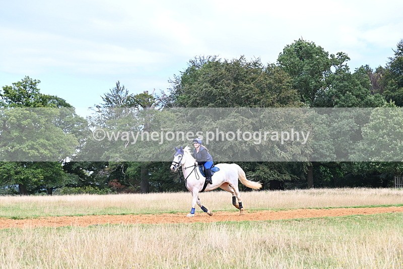 DSC_8795 - Time at Statue 14:33 to 15:10