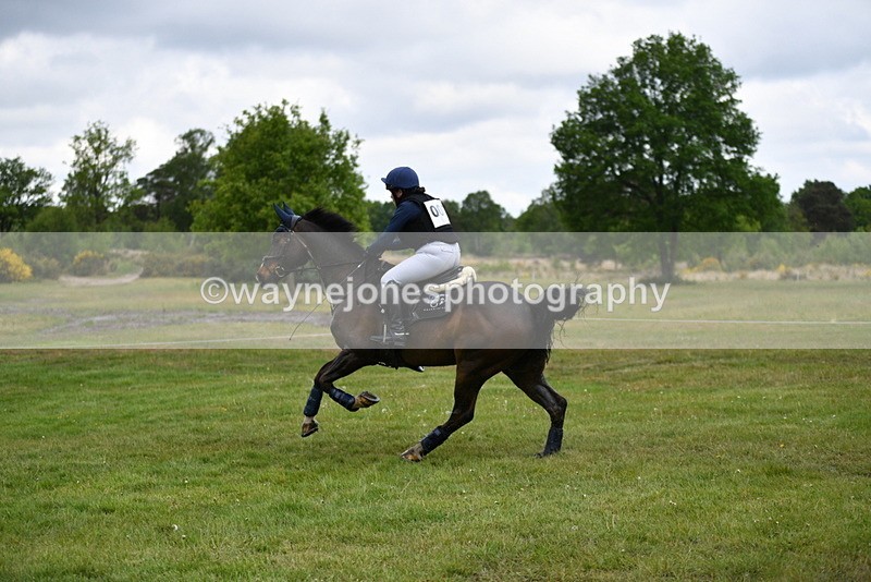 WJ5_4794 - Time 10:42 to 10:55