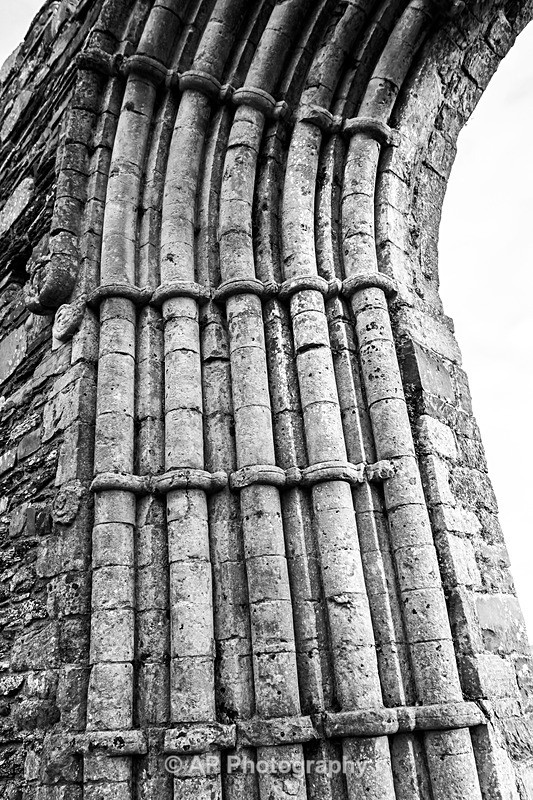 ACP02010-2 - Strata Florida Abbey