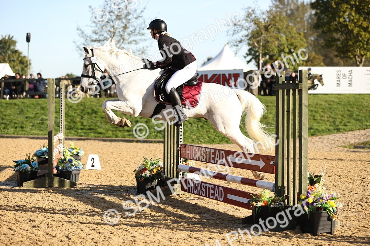 SBM_33195 - J38 - Senior 80cm Championship