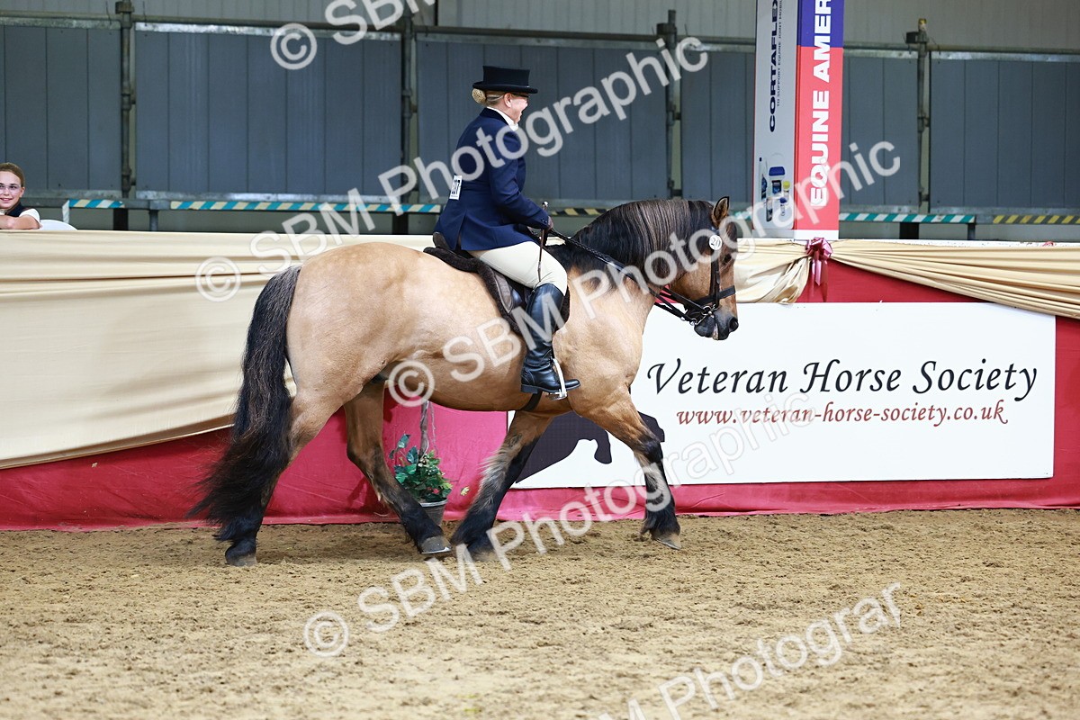 SBM_23692 - Class 905 - Supreme Final - Ridden Veteran