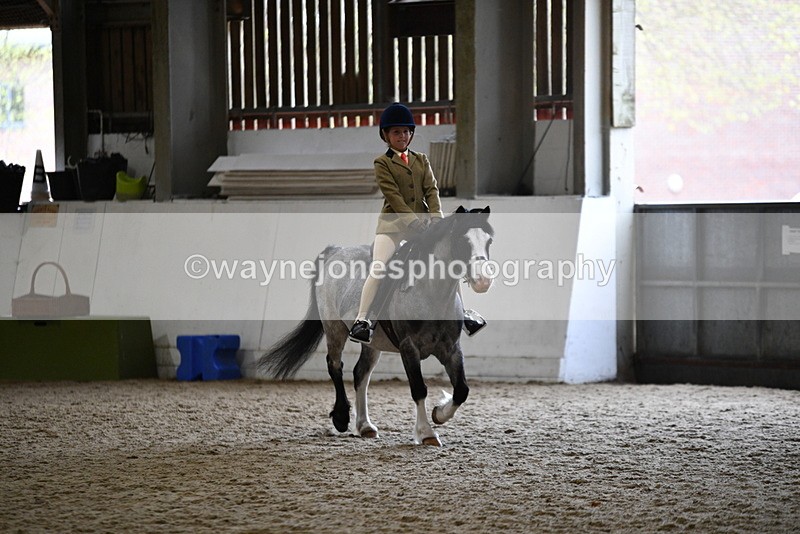 WJ5_6869 - Class 10 Childs Pony