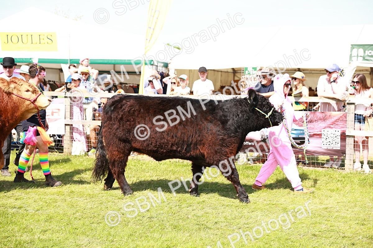SBM_08344 - Grand Parade