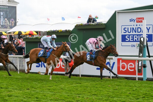 yr22052022r6-22 - Race 6: 6:05pm Sky Bet Sunday Series Stayers Stakes