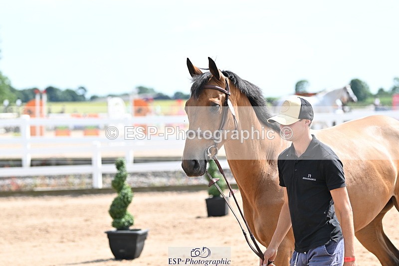 240717A-151549-02697 - Trot Up 3pm to 4pm