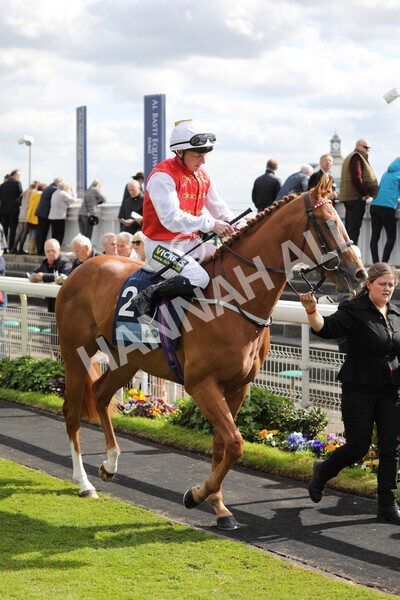 yr12052022r5-3 - Race 5 4.10pm British Stallion Studs EBF Westow Stakes