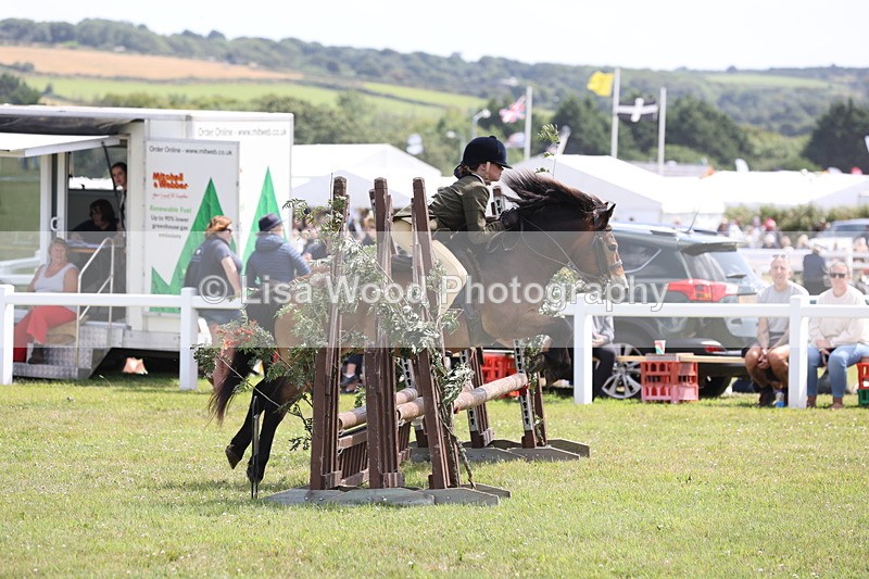 JPP_2034 - Class 19: Working Hunter 60cm