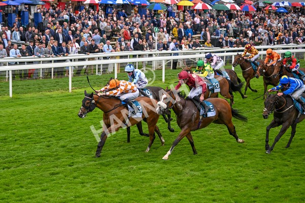 130724-Race 7-Ray Vonn-7913 - Race 7 5.25pm John Smith's Sprint Handicap