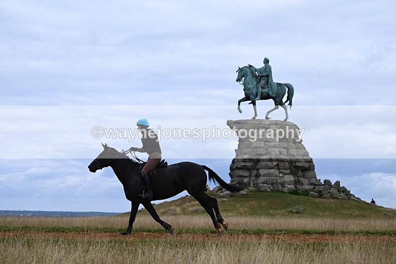 DSC_6506 - Time at Statue 12:17 to 12:44