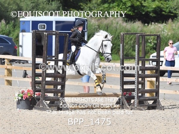 BPP_1475 - DERBY CLASS 3 - 40CM