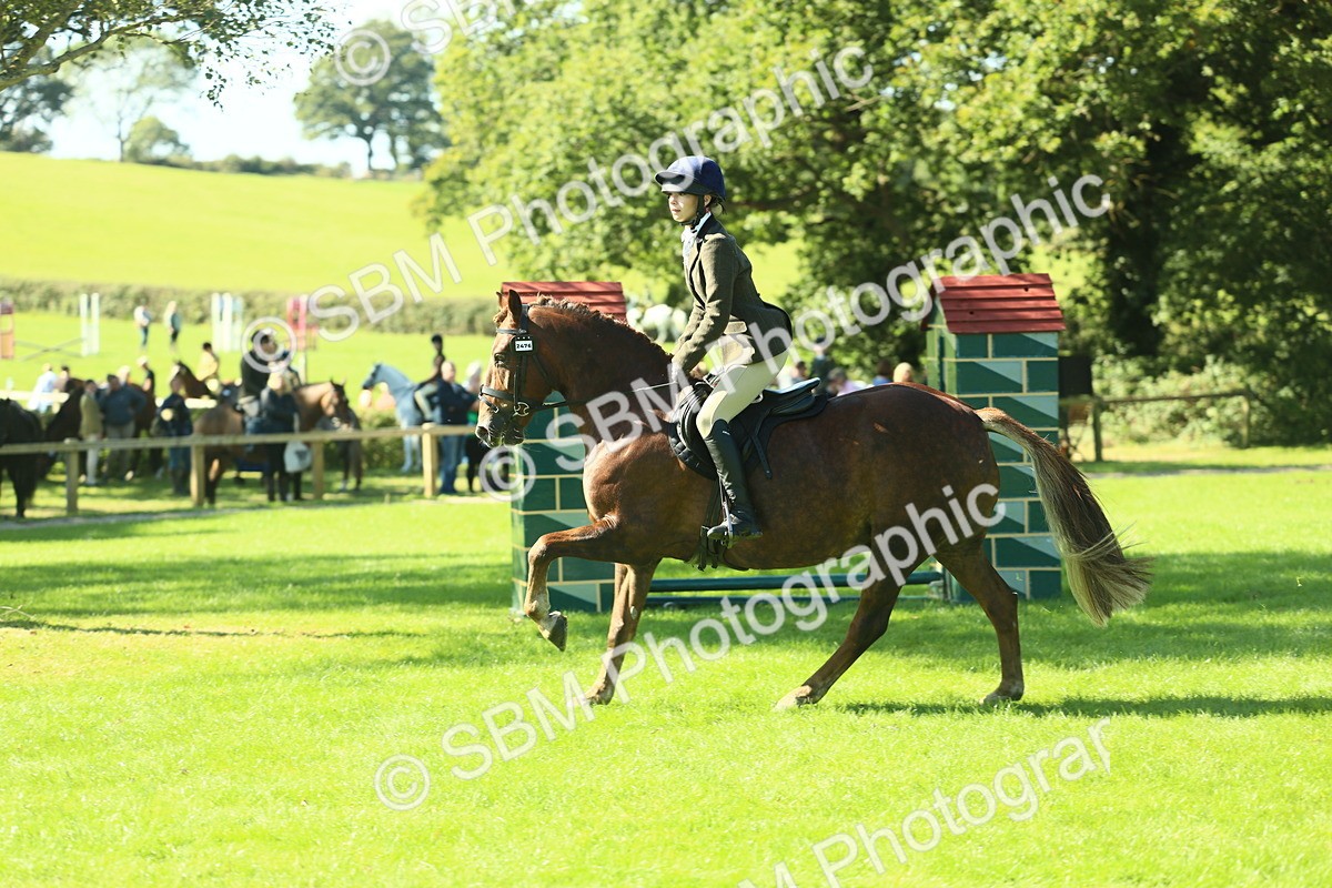 SBM_39162 - S29 - Novice & Newcomers Working Hunter Pony