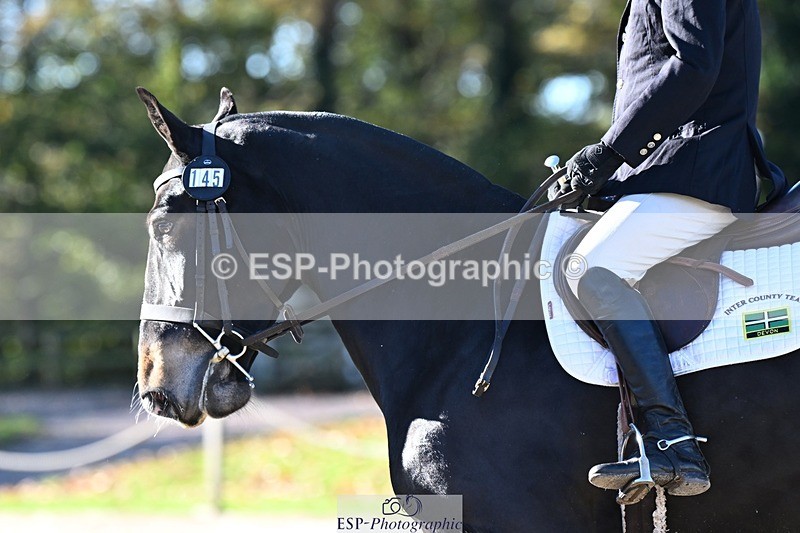 231110-103923-00154 - Cls 2 Prelim 17(a)Q